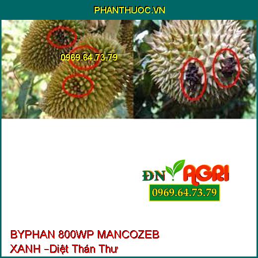 BYPHAN 800WP MANCOZEB XANH –Diệt Phấn Trắng, thán thư