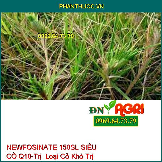 NEWFOSINATE 150SL SIÊU CỎ Q10-Trị Loại Cỏ Khó Trị