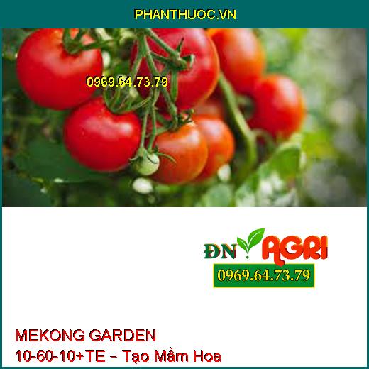 MEKONG GARDEN 10-60-10+TE – Tạo Mầm Hoa