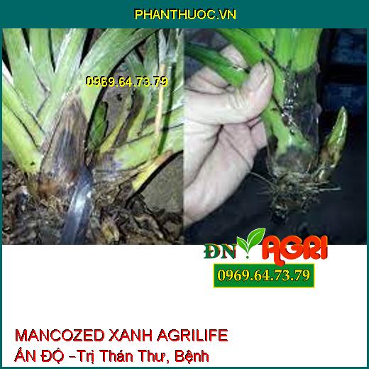 MANCOZED XANH AGRILIFE ẤN ĐỘ –Trị Thán Thư, Bệnh Ghẻ