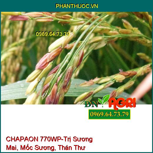 CHAPAON 770WP-Trị Sương Mai, Mốc Sương, Thán Thư