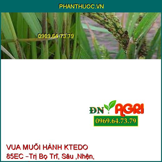 VUA MUỖI HÀNH KTEDO 85EC –Trị Bọ Trĩ, Sâu ,Nhện, Rệp, Rầy