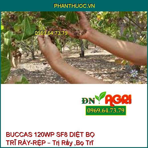 BUCCAS 120WP SF8 DIỆT BỌ TRĨ RẦY-RỆP – Trị Rầy ,Bọ Trĩ