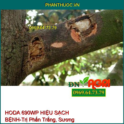 HODA 690WP HIỆU SẠCH BỆNH-Trị Phấn Trắng, Sương Mai