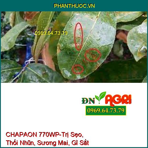 CHAPAON 770WP-Trị Sẹo, Thối Nhũn, Sương Mai, Gỉ Sắt