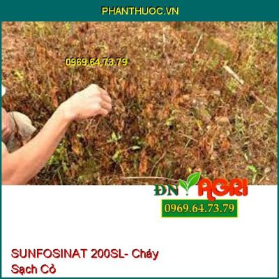 SUNFOSINAT 200SL- Cháy Sạch Cỏ