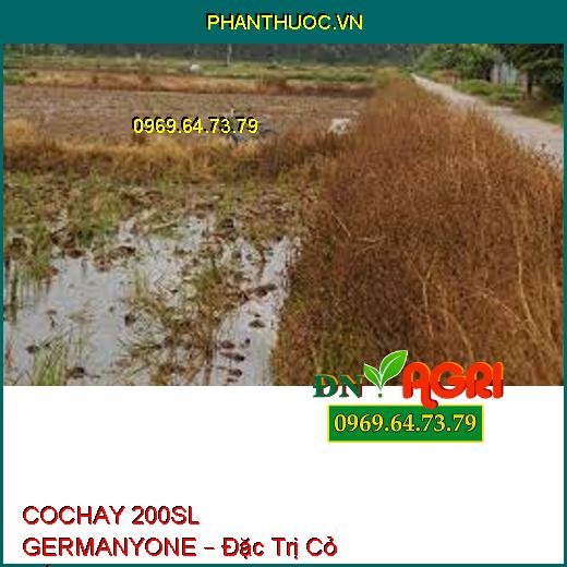 COCHAY 200SL GERMANYONE – Đặc Trị Cỏ Gấu, Cỏ Chỉ