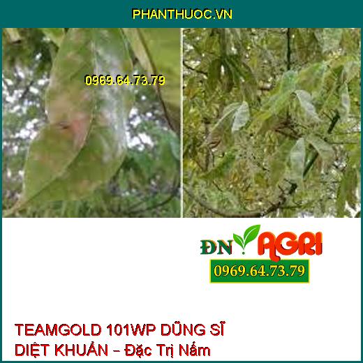 TEAMGOLD 101WP DŨNG SĨ DIỆT KHUẨN – Đặc Trị Nấm