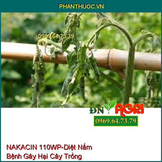 NAKACIN 110WP-Diệt Nấm Bệnh Gây Hại Cây Trồng