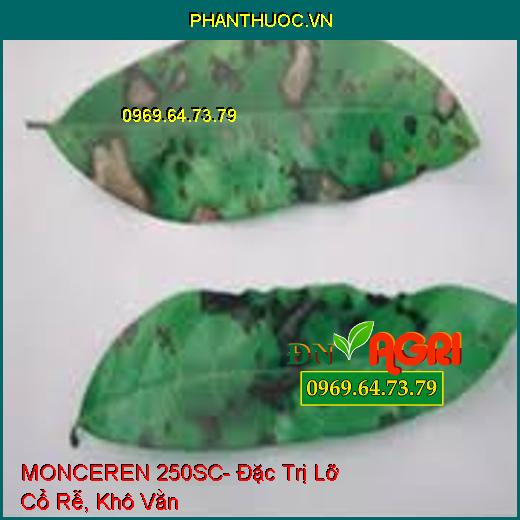 MONCEREN 250SC- Đặc Trị Lỡ Cổ Rễ, Khô Vằn