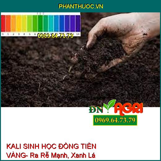 KALI SINH HỌC ĐỒNG TIỀN VÀNG- Ra Rễ Mạnh, Xanh Lá