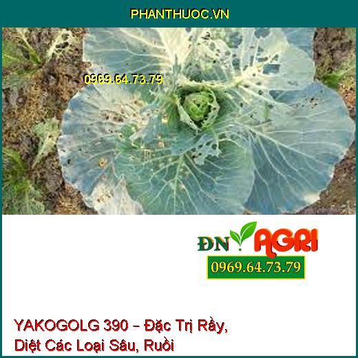 YAKOGOLG 390 – Đặc Trị Rầy, Diệt Các Loại Sâu, Ruồi