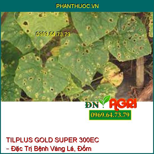 TILPLUS GOLD SUPER 300EC – Đặc Trị Bệnh Vàng Lá, Đốm Vằn