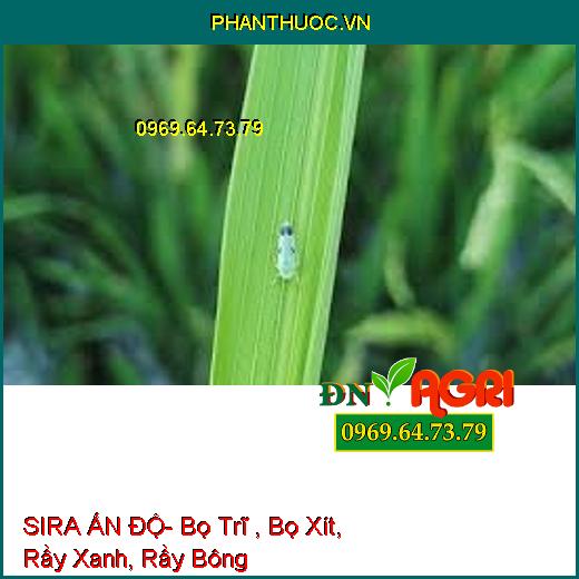 SIRA ẤN ĐỘ- Bọ Trĩ , Bọ Xít, Rầy Xanh, Rầy Bông