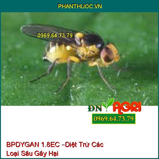 BPDYGAN 1.8EC –Diệt Trừ Các Loại Sâu Gây Hại