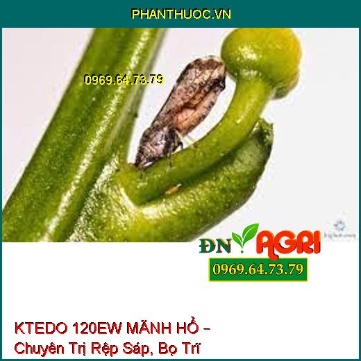 KTEDO 120EW MÃNH HỔ – Chuyên Trị Rệp Sáp, Bọ Trĩ