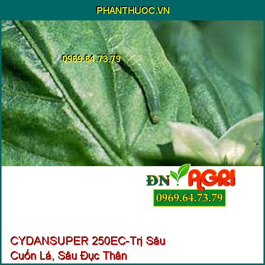 CYDANSUPER 250EC-Trị Sâu Cuốn Lá, Sâu Đục Thân