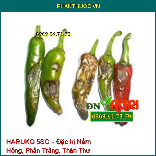 HARUKO 5SC – Đặc trị Nấm Hồng, Phấn Trắng, Thán Thư