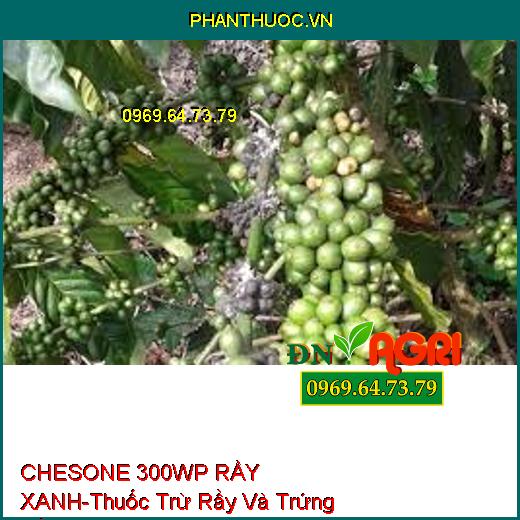 CHESONE 300WP RẦY XANH-Thuốc Trừ Rầy Và Trứng Rầy