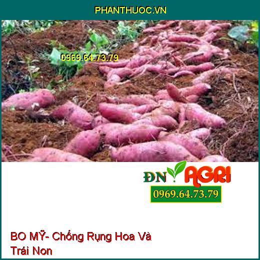 BO MỸ- Chống Rụng Hoa Và Trái Non