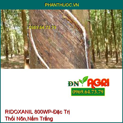 RIDOXANIL 800WP-Đặc Trị Thối Nõn,Nấm Trắng