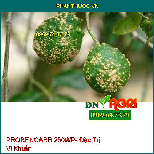 PROBENCARB 250WP- Đặc Trị Vi Khuẩn