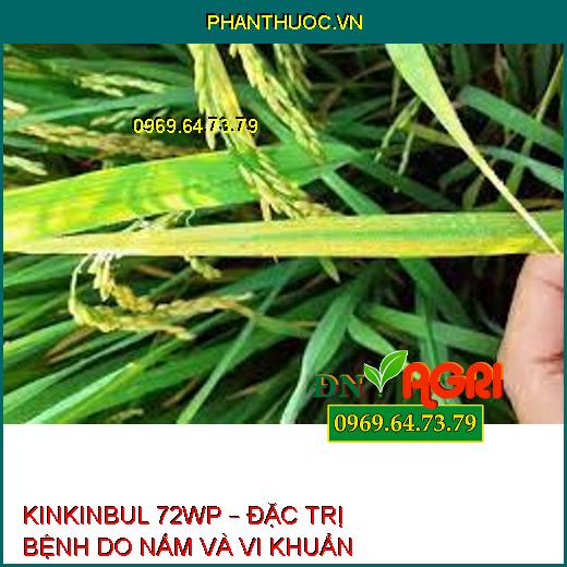 KINKINBUL 72WP – ĐẶC TRỊ BỆNH DO NẤM VÀ VI KHUẨN