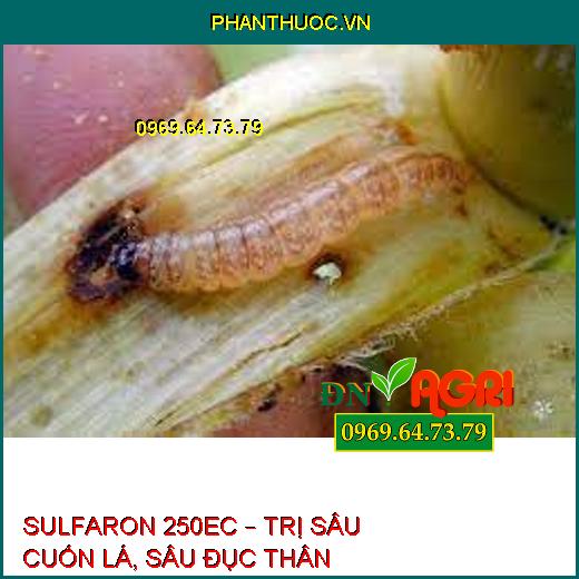 SULFARON 250EC – TRỊ SÂU CUỐN LÁ, SÂU ĐỤC THÂN