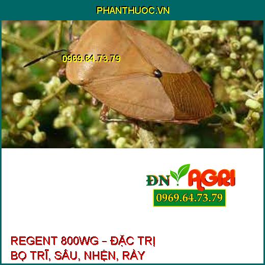 REGENT 800WG – ĐẶC TRỊ BỌ TRĨ, SÂU, NHỆN, RẦY