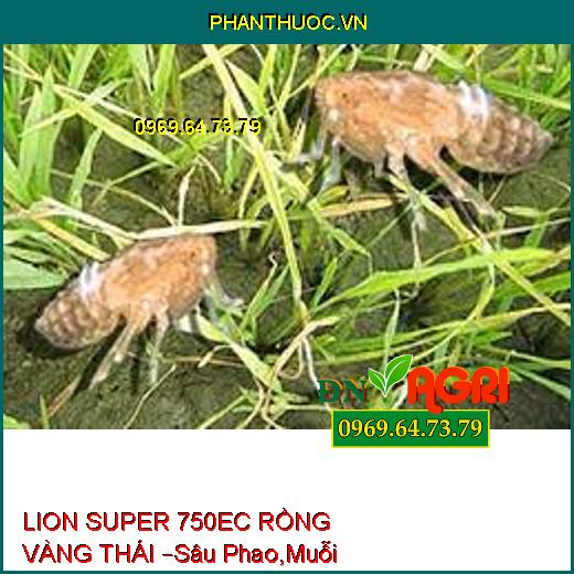 LION SUPER 750EC RỒNG VÀNG THÁI –Sâu Phao,Muỗi Hành