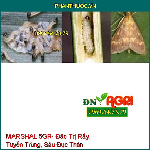 MARSHAL 5GR- Đặc Trị Rầy, Tuyến Trùng, Sâu Đục Thân