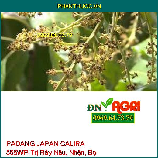 PADANG JAPAN CALIRA 555WP-Trị Rầy Nâu, Nhện, Bọ Trĩ