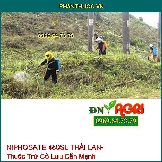 NIPHOSATE 480SL THÁI LAN- Thuốc Trừ Cỏ Lưu Dẫn Mạnh