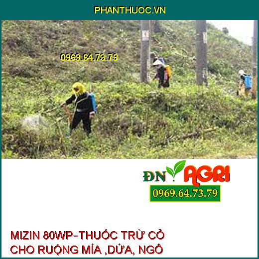 MIZIN 80WP–THUỐC TRỪ CỎ CHO RUỘNG MÍA ,DỨA, NGÔ