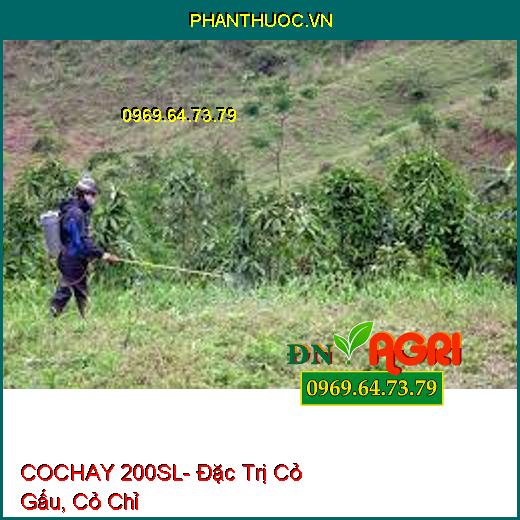 COCHAY 200SL- Đặc Trị Cỏ Gấu, Cỏ Chỉ