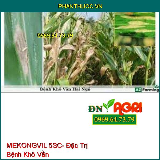 MEKONGVIL 5SC- Đặc Trị Bệnh Khô Vằn