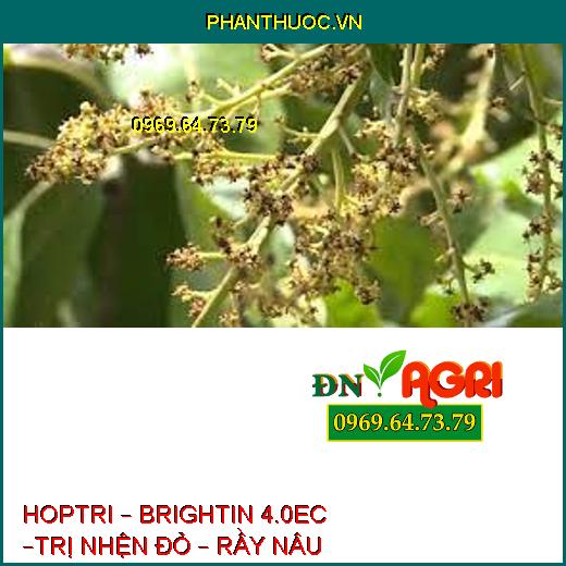 HOPTRI – BRIGHTIN 4.0EC –TRỊ NHỆN ĐỎ – RẦY NÂU