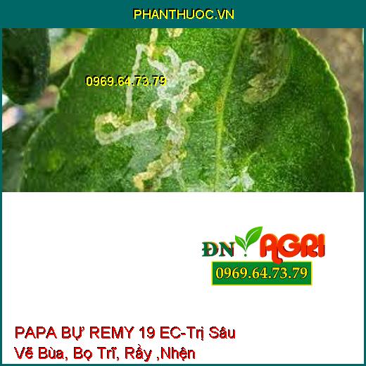 PAPA BỰ REMY 19 EC-Trị Sâu Vẽ Bùa, Bọ Trĩ, Rầy ,Nhện