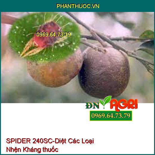 SPIDER 240SC-Diệt Các Loại Nhện Kháng thuốc