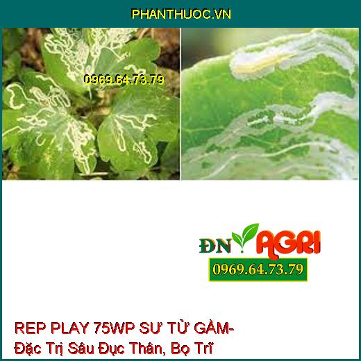 REP PLAY 75WP SƯ TỬ GẦM- Đặc Trị Sâu Đục Thân, Bọ Trĩ