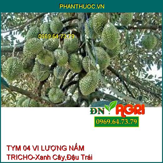 TYM 04 VI LƯỢNG NẤM TRICHO-Xanh Cây,Đậu Trái