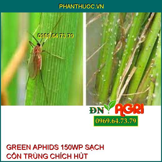 GREEN APHIDS 150WP SẠCH CÔN TRÙNG CHÍCH HÚT