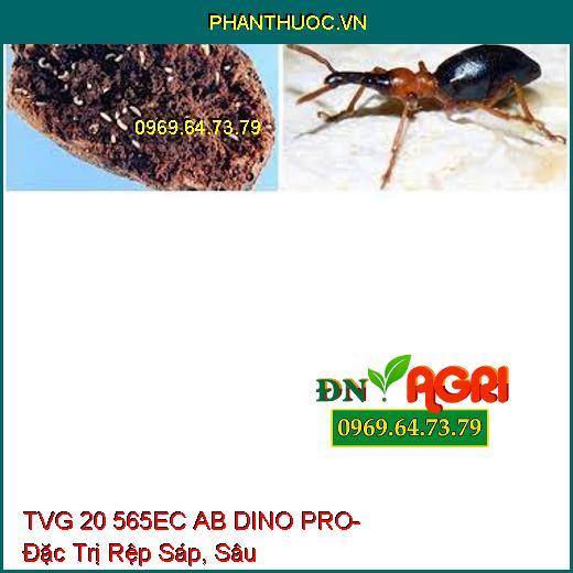 TVG 20 565EC AB DINO PRO- Đặc Trị Rệp Sáp, Sâu