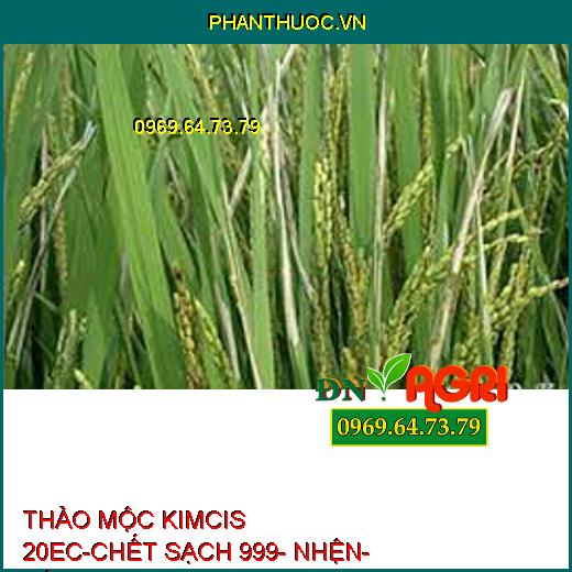 THẢO MỘC KIMCIS 20EC-CHẾT SẠCH 999- NHỆN- SÂU