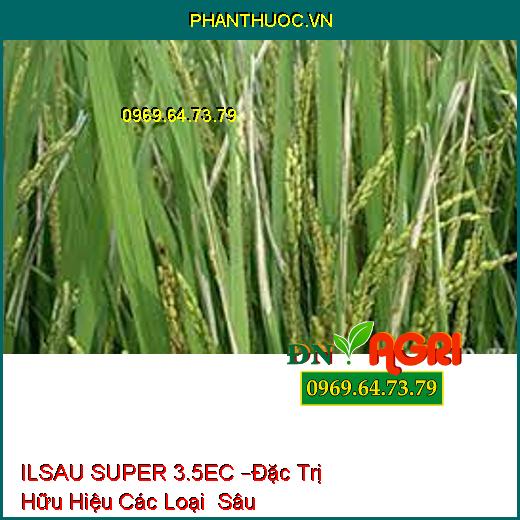 ILSAU SUPER 3.5EC –Đặc Trị Hữu Hiệu Các Loại Sâu