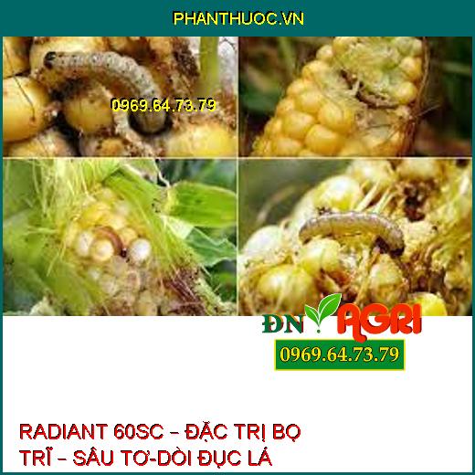 RADIANT 60SC – ĐẶC TRỊ BỌ TRĨ – SÂU TƠ-DÒI ĐỤC LÁ