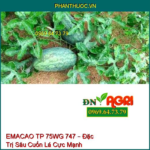 EMACAO TP 75WG 747 – Đặc Trị Sâu Cuốn Lá Cực Mạnh