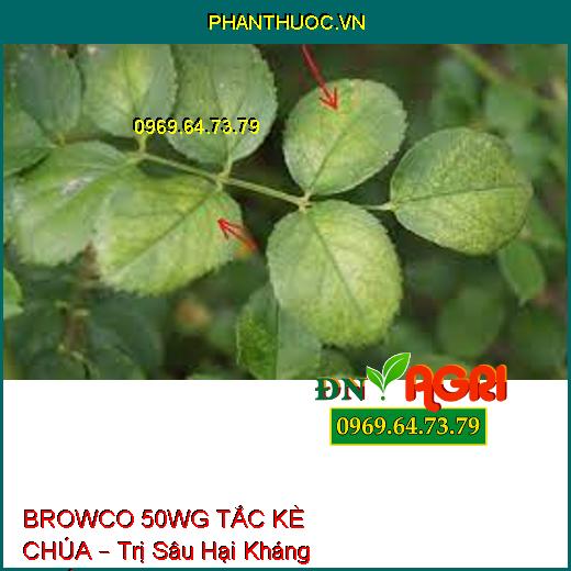 BROWCO 50WG TẮC KÈ CHÚA – Trị Sâu Hại Kháng Thuốc