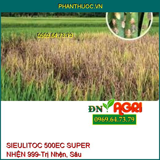 SIEULITOC 500EC SUPER NHỆN 999-Trị Nhện, Sâu