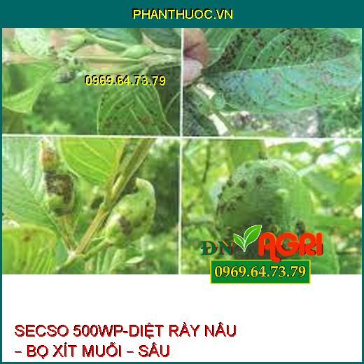 SECSO 500WP-DIỆT RẦY NÂU – BỌ XÍT MUỖI – SÂU KHOANG